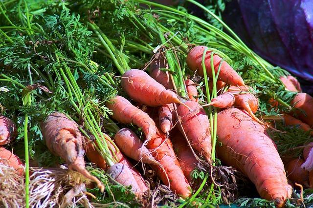 Venezuela: Jackson Chourio Is Finished Playing In LVBP, Will Fly Out Tuesday – World Baseball Network