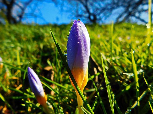 Bailey’s walk-off slam stuns Dodgers as Giants tighten NL Wild Card race – MLB.com