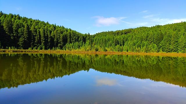 Reds showing interest in bringing Miguel Andujar back in 2026 – Redleg Nation