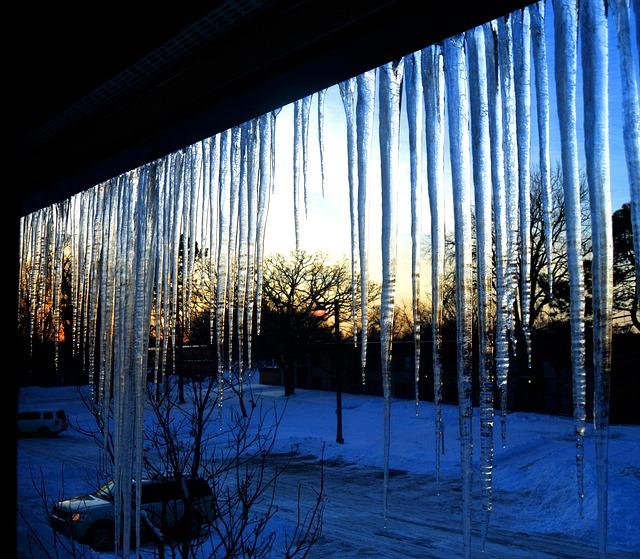 twins-wrap-up-productive-winter-meetings-with-small-trade-twincities-com.jpg Twins wrap up ‘productive’ Winter Meetings with small trade – twincities.com