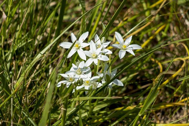 Justin Ishbia agrees future acquisition of MLB’s Chicago White Sox – SportsPro