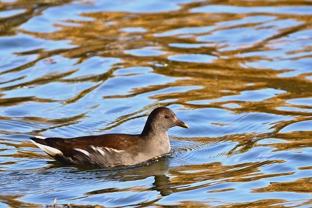 Cubs Claim Ben Cowles – MLB Trade Rumors