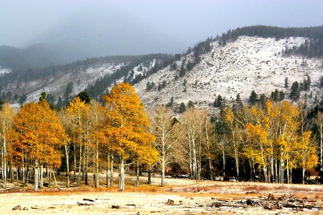 Here’s why Rockies’ free fall is worse than historically bad 2024 White Sox – Yahoo Sports