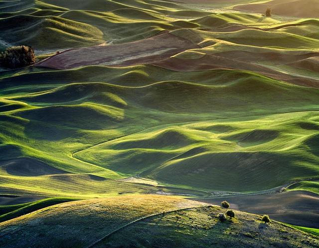 watch-saturdays-spring-training-opener-for-free-on-nationalstv-mlb-com.jpg Watch Saturday’s Spring Training opener for FREE on Nationals.TV – MLB.com