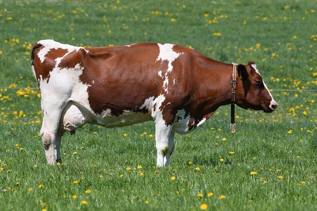 Maikel Garcia: ‘Man, we played great baseball!’ – MLB.com