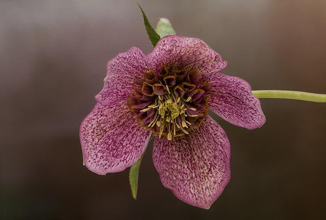 billy-beane-moneyball-major-league-baseball-oakland-as-biography-britannica.jpg Billy Beane | Moneyball, Major League Baseball, Oakland A’s, & Biography – Britannica