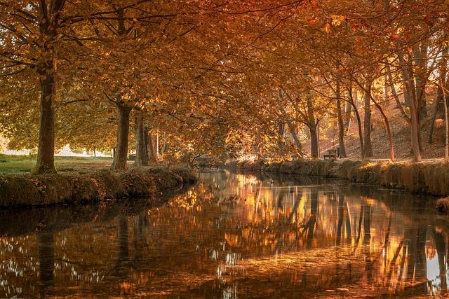 Oneil Cruz makes young fans day with signed baseball – MLB.com