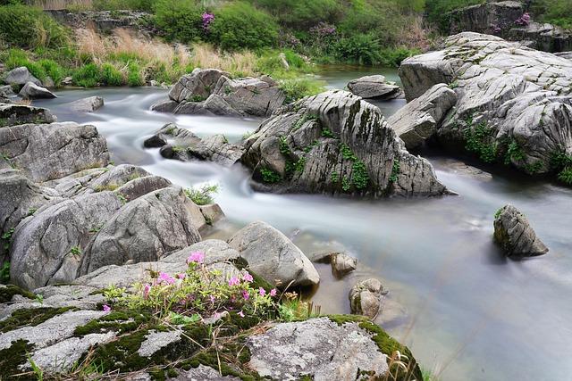 Back for 2026, stream games on ROCKIES.TV; get a free trial – MLB.com