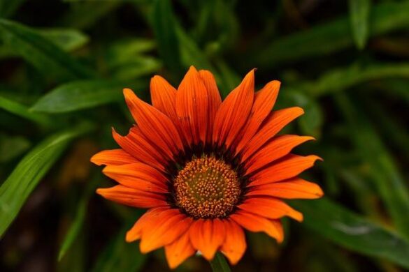 Bello, Sox struggling to ‘cancel the noise’ after losing 4th straight – MLB.com